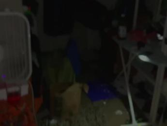 TMD: Мисс Рептилиан Язык BBW!